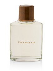 ��������� ����-����� Domain�